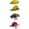 Safari Ltd Safariology Collection Ciclo de vida de una