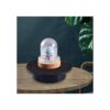 DIYBravo Dice Cup Resina molde Display Dome Epoxy Mold con