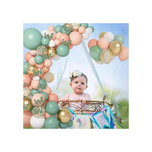 Kit de arco de guirnalda de globos de durazno con rubor_5