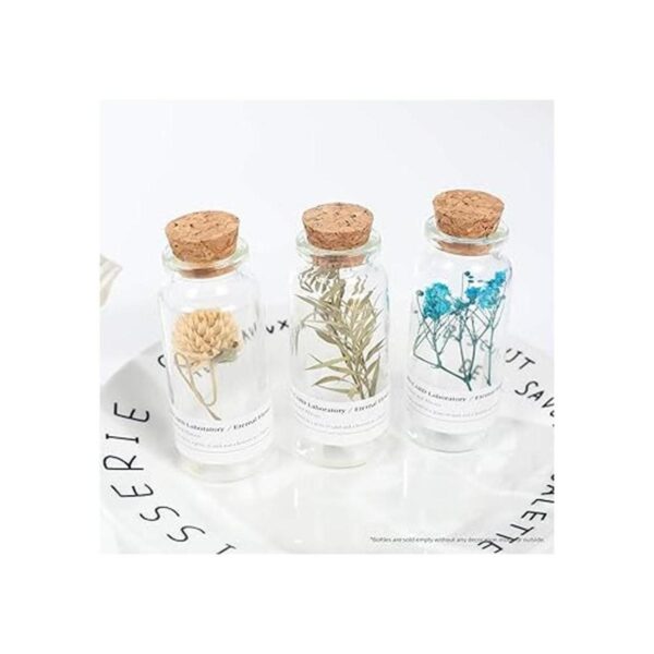 Magic Season Botellas de vidrio decorativas 12 piezas con_5