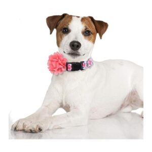 Collar de perro floral con flor extraíble ajustable de_6