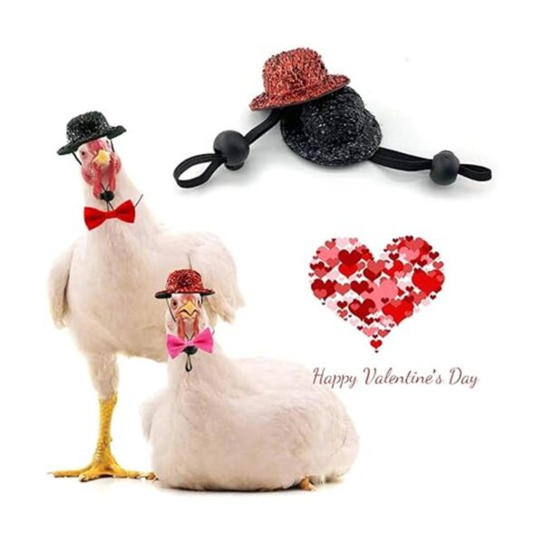 Sombrero de pollo y pajarita para gallinas de San Valentín_2