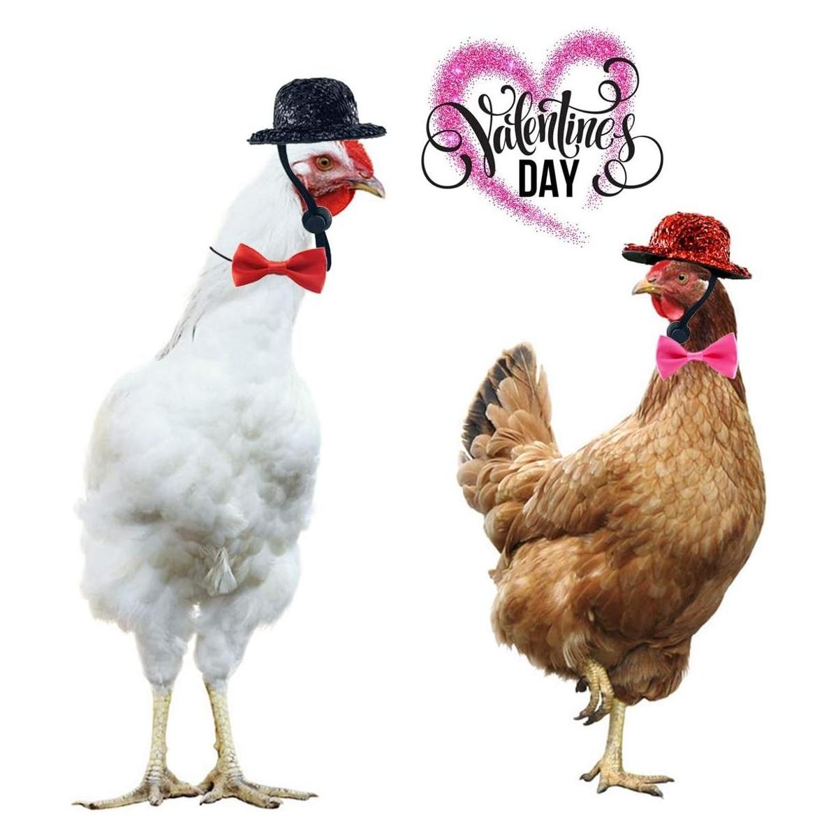 Sombrero de pollo y pajarita para gallinas de San Valentín