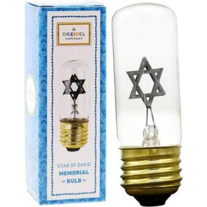 Bombilla de neón de repuesto para lámparas Yahrzeit para_1