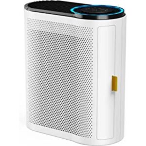 AROEVE Purificador de aire para el hogar CARB hasta 300_1