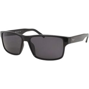 Ferragamo SF960S Gafas de sol unisex color negro 58_1