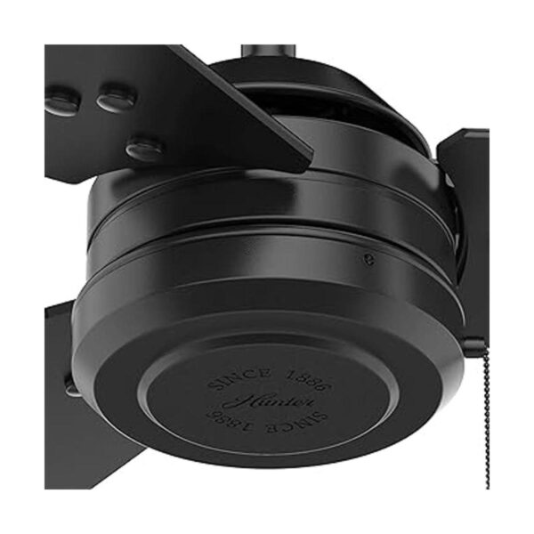 HUNTER 50260 Cassius Ventilador de techo para exteriores_3