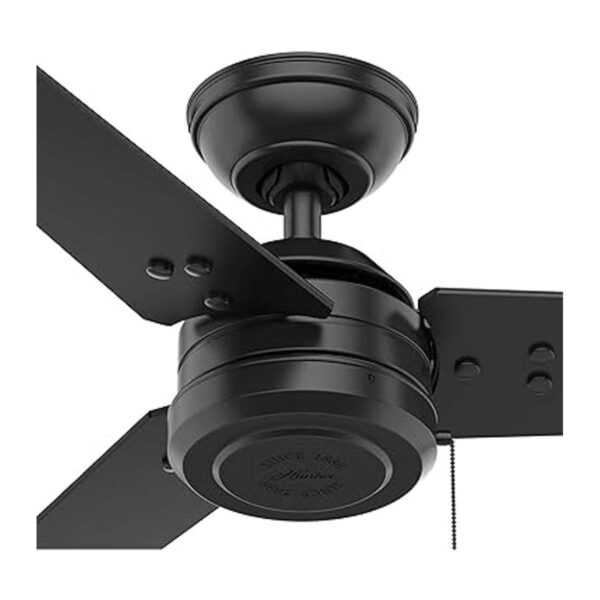 HUNTER 50260 Cassius Ventilador de techo para exteriores_2