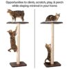 PetFusion Ultimate Percha trepadora para ventana de gato_2