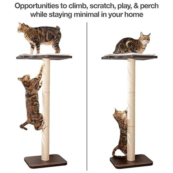 PetFusion Ultimate Percha trepadora para ventana de gato_2