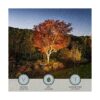 LEONLITE Low Voltage LED Landscape Spotlight 12V ACDC_5