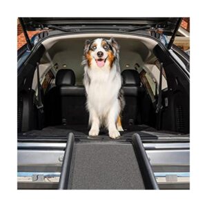 Rampas SOLVIT para mascotas con paquete de adiestramiento_1