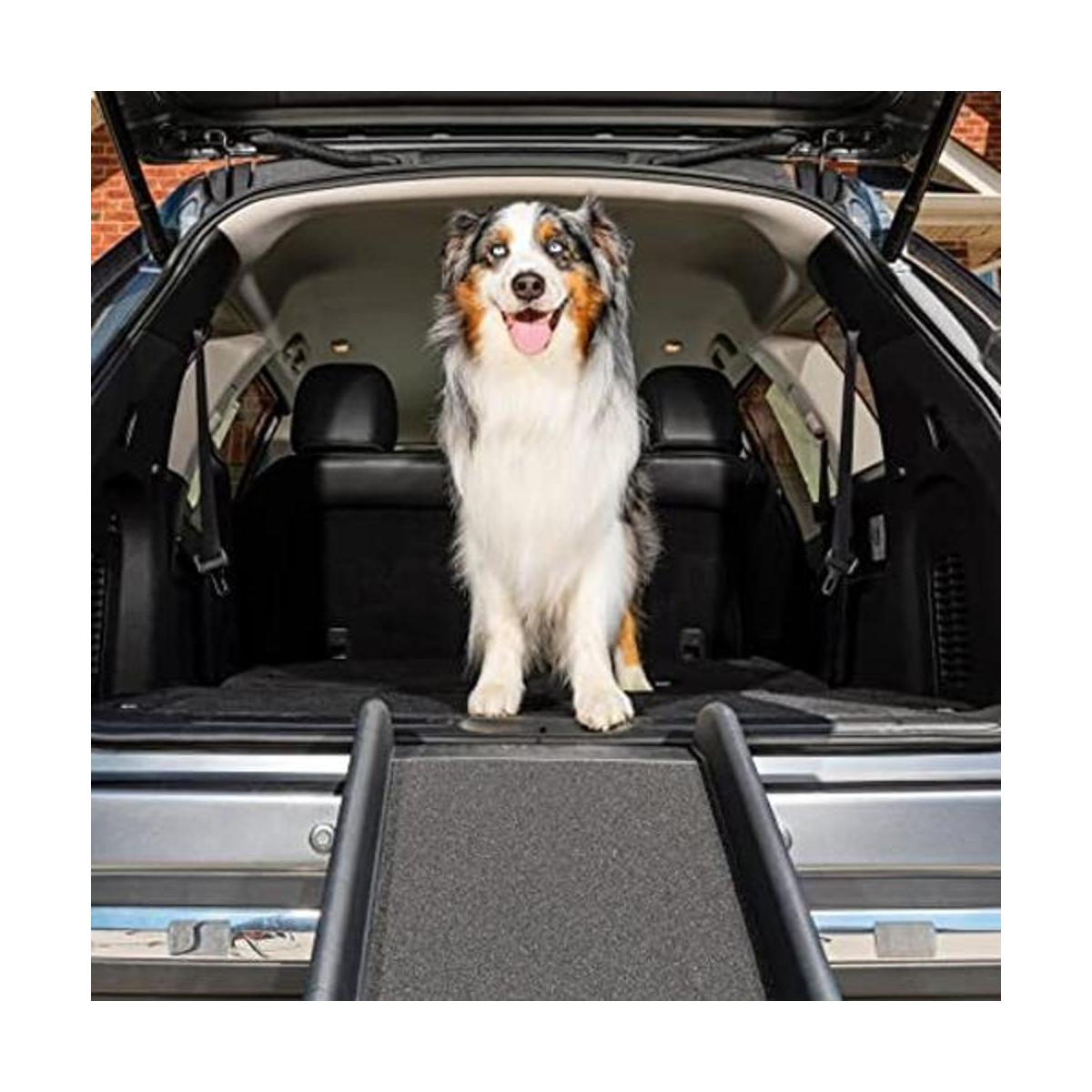 Rampas SOLVIT para mascotas con paquete de adiestramiento