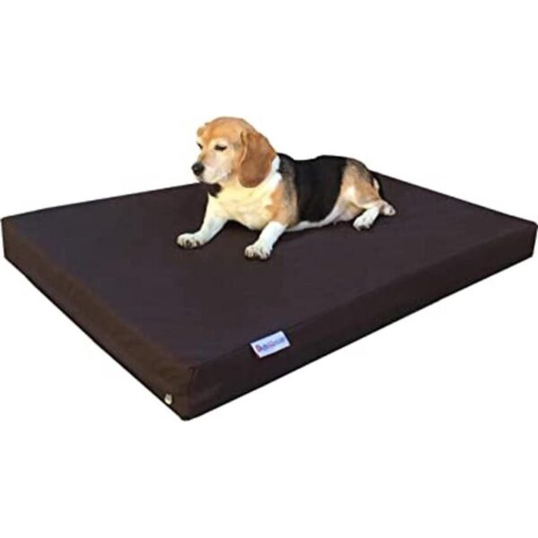 Dogbed4less Ultimate Cama para perro de espuma