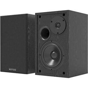 BESTISAN Altavoces de estantería alimentados altavoces_1