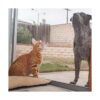 DocaScreen Pantalla para mascotas pantalla a prueba de