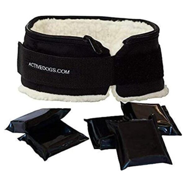 ActiveDogs K9 Collar de perro con relleno de piel de_1