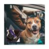 BUMBIN Correa para perros grandes de 6 pies correa