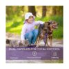 BUMBIN Correa para perros grandes de 6 pies correa