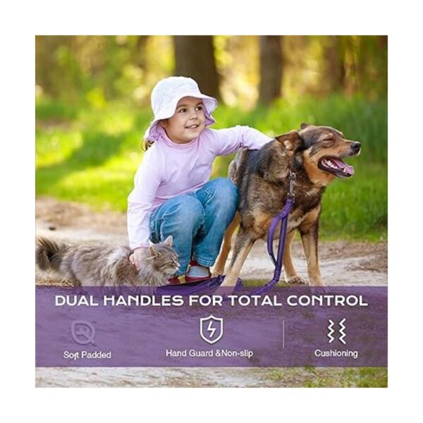 BUMBIN Correa para perros grandes de 6 pies correa