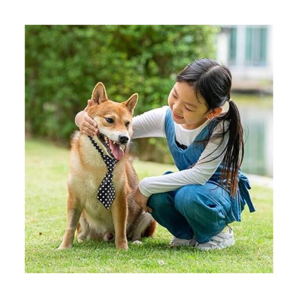 Juego de 70 corbatas ajustables para perros y corbatas