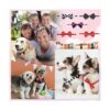 Juego de 70 corbatas ajustables para perros y corbatas