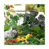 6 piezas de decoración de plantas de reptiles accesorios