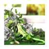6 piezas de decoración de plantas de reptiles accesorios