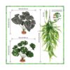 6 piezas de decoración de plantas de reptiles accesorios