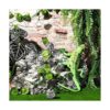 6 piezas de decoración de plantas de reptiles accesorios