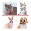 PET SHOW 50 corbatas grandes para perros para collar a