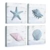 TideAndTales Juego de 4 conchas y decoraciones 3D_1