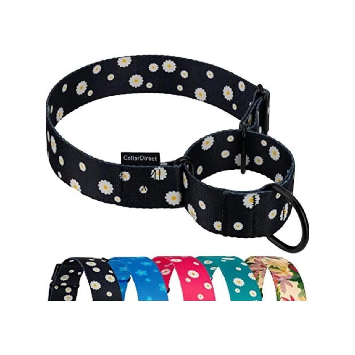 CollarDirect Martingale Collares para perros resistentes