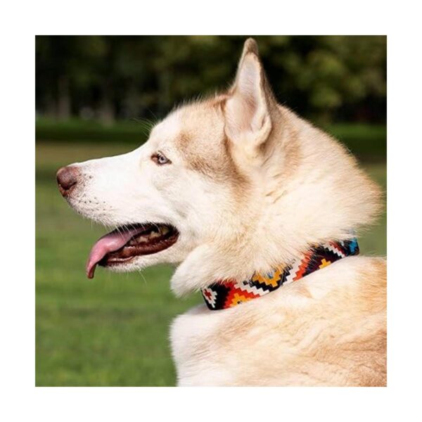 CollarDirect Collar de perro azteca ajustable de nailon