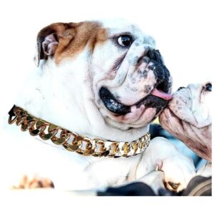 Collar de cadena dorada para perro collar de perro de_1