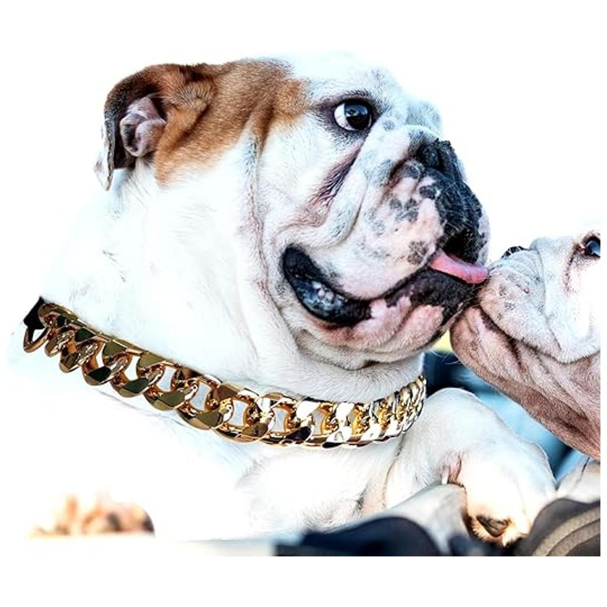 Collar de cadena dorada para perro collar de perro de