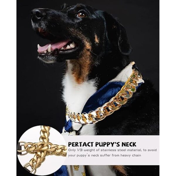 Collar de cadena dorada para perro collar de perro de_4