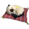Tounlinx Simulation Lovely Cat Make Sounds Doll Cute_1