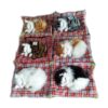 Tounlinx Simulation Lovely Cat Make Sounds Doll Cute_3