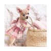 4 piezas de vestido a cuadros para perro arnés con_4