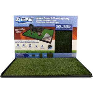 zorbipad zp1624 C interior zacate Perro Potty Supreme_1