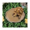 ueetek mascotas Alimentación Plato tazón Vivarium de