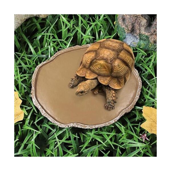 ueetek mascotas Alimentación Plato tazón Vivarium de