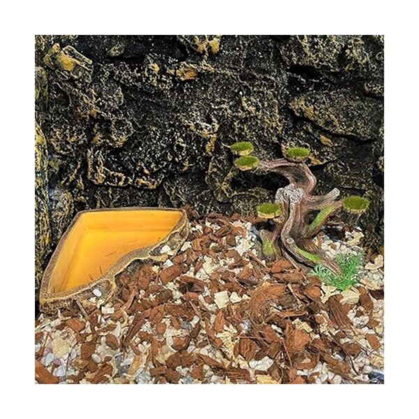 relaqcc Decoración de reptiles para acuarios decoración