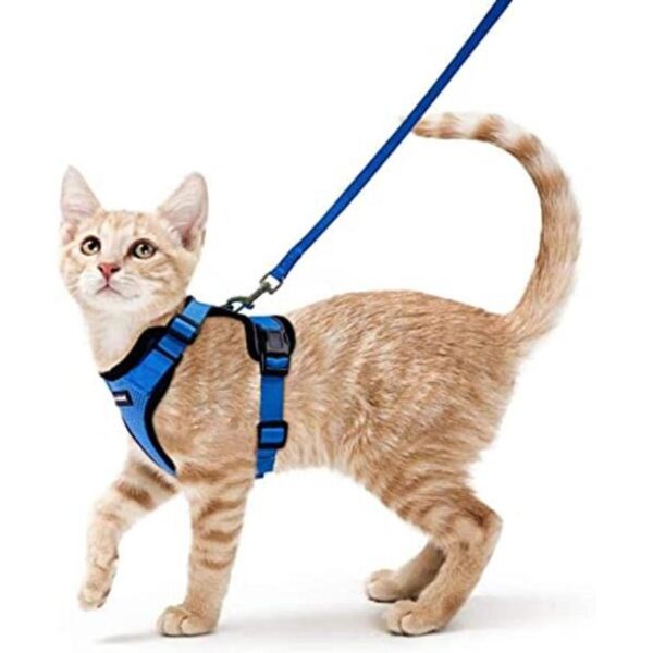 rabbitgoo Arnés y correa para gato para pasear con el_1