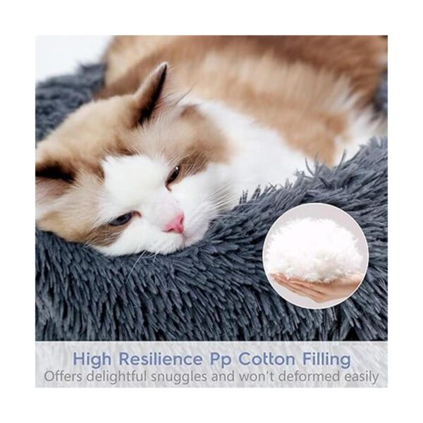 rabbitgoo Cama de gato para gatos de interior mullida y_5