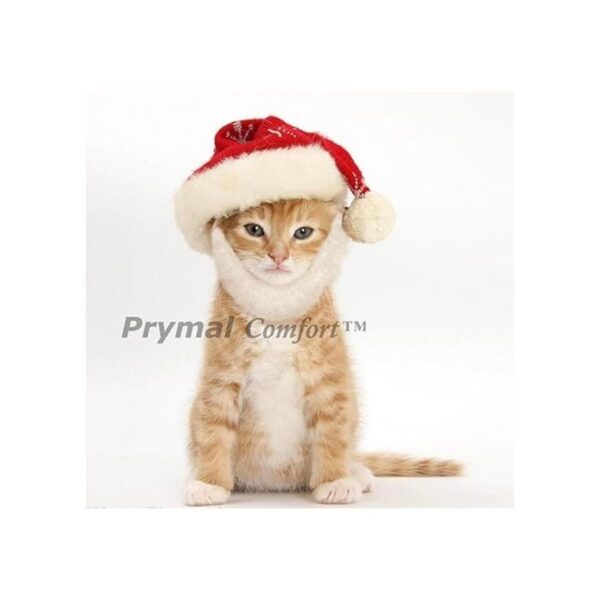 prymal Santa Dog Cat Costume. Este Pet Costume convierte_2