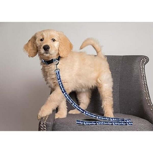 pets first San Francisco Giants correa_3