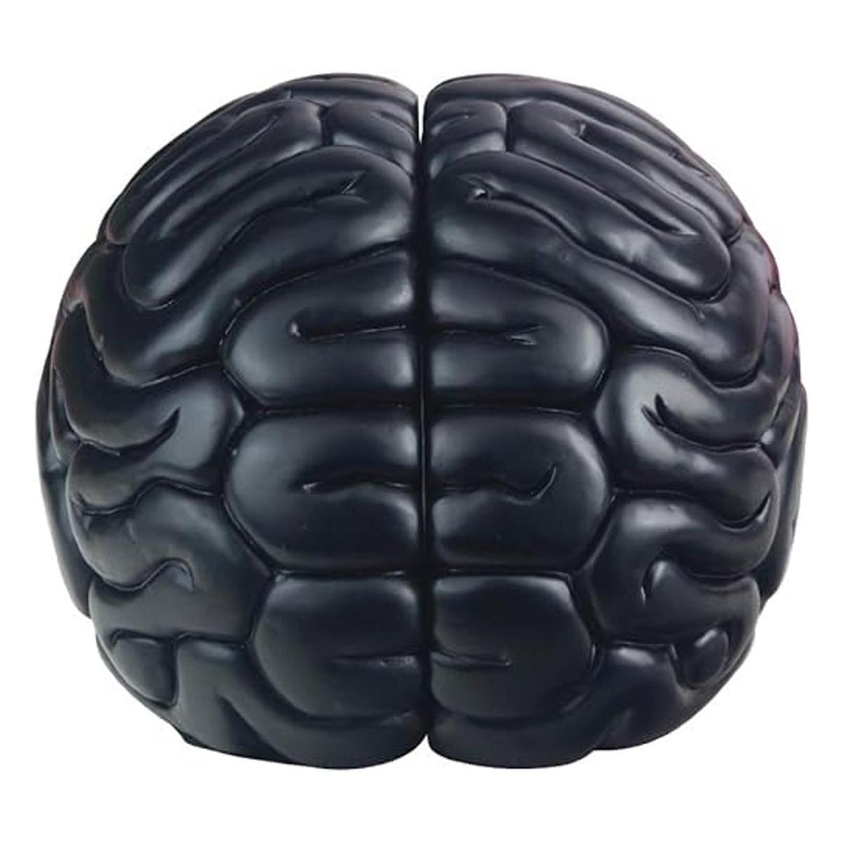 mildahjoy Sujetalibros para cerebro 6.5 pulgadas de alto