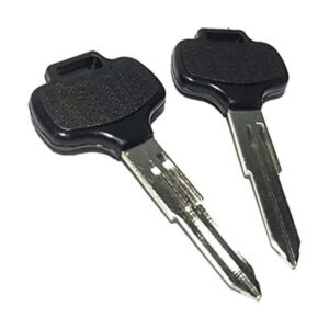 ihave Reemplazo para 2 llaves en blanco Skyline GTS4 R32_1